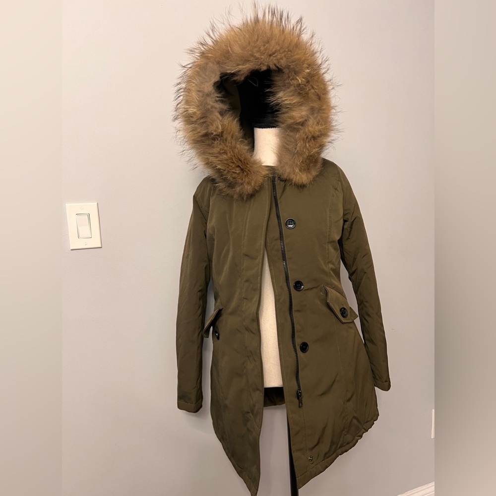 Winter Jacket